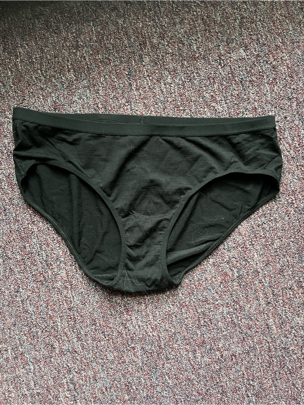 Icebreaker women’s Siren hipkini underwear Medium great condition